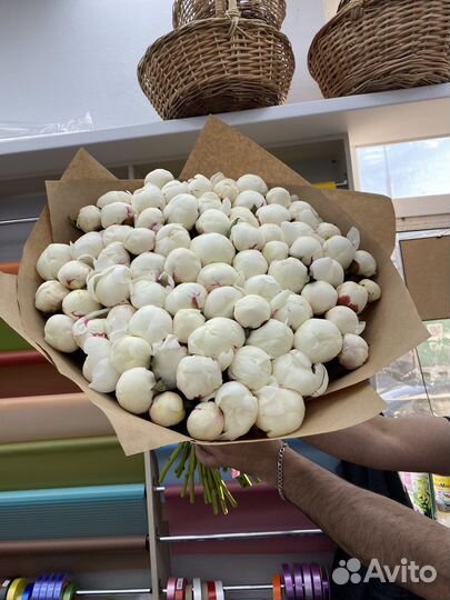 Пионы букет