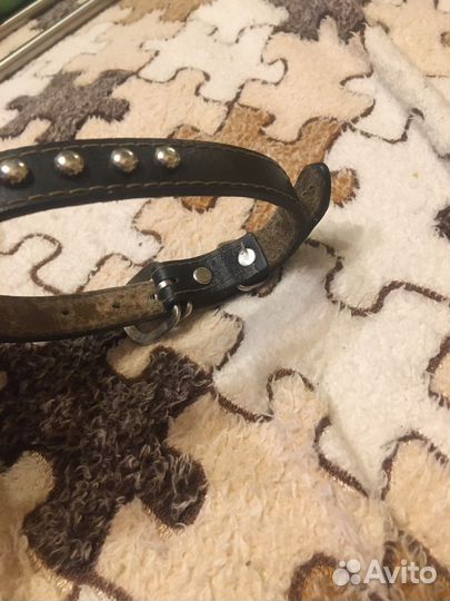 Ошейник повадок намордник