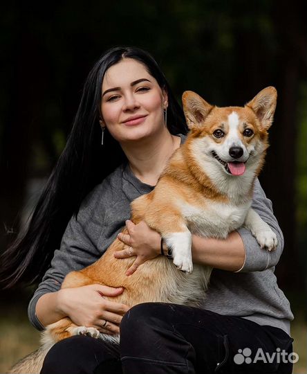 Репетитор по английскому языку