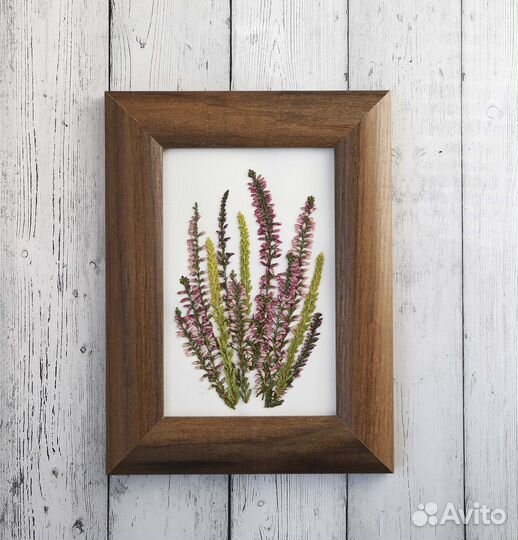 Гербарий. Интерьерная картина. Вереск
