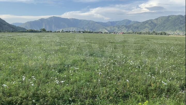 Участок 2 га (СНТ, ДНП)