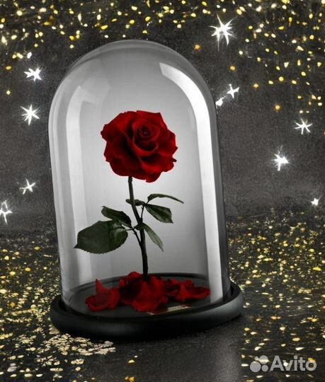 Стабилизированная Роза в колбе на Детский