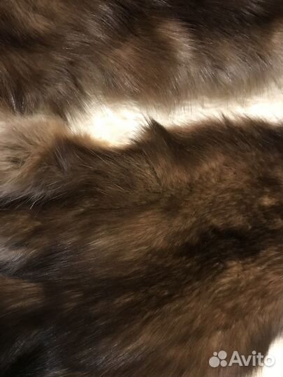 Соболь шкурки