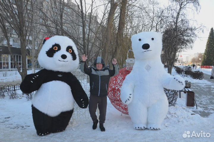 Поздравление от белого Мишки Снежка, Панды Уголька