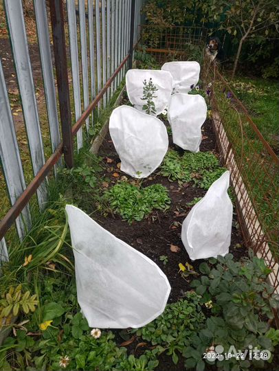 Одежда для растений