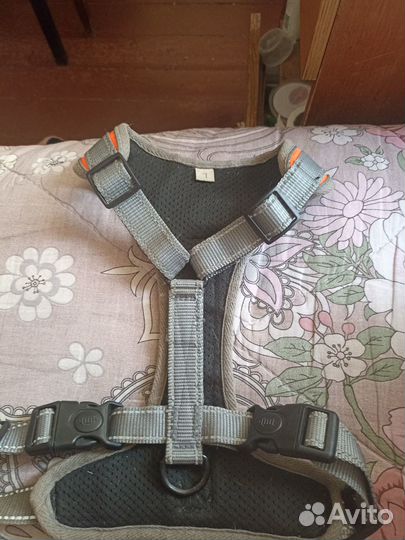 Анатомическая шлейка для собаки