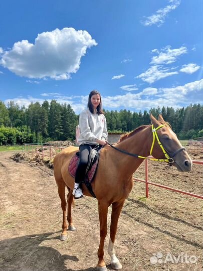 Конная прогулка Лаишево 26 августа