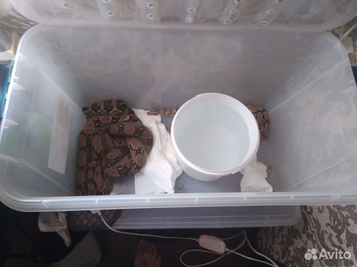 Изготовление террариума