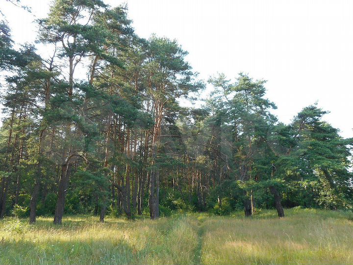 Участок 20 сот. (ИЖС)