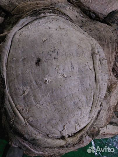 Книжка говяжья