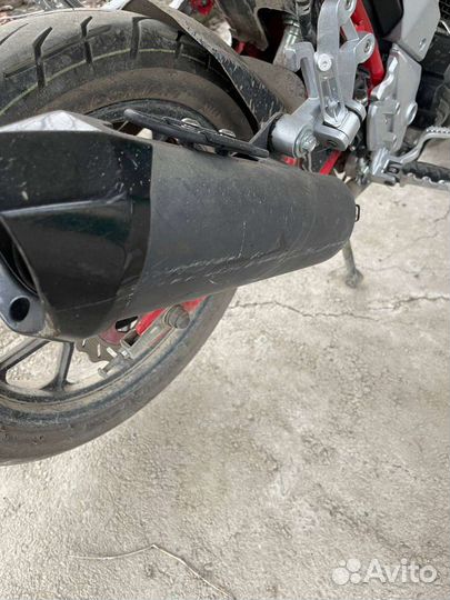 Regulmoto raptor 250 new