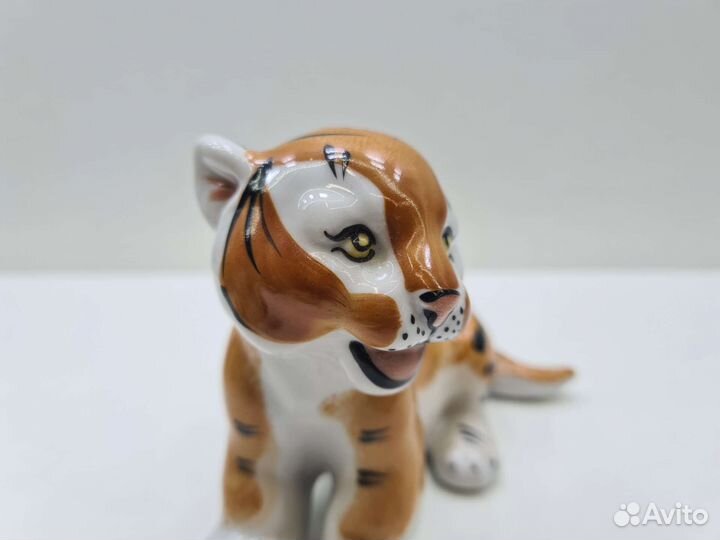 П.1040 Тигрёнок Вербилки