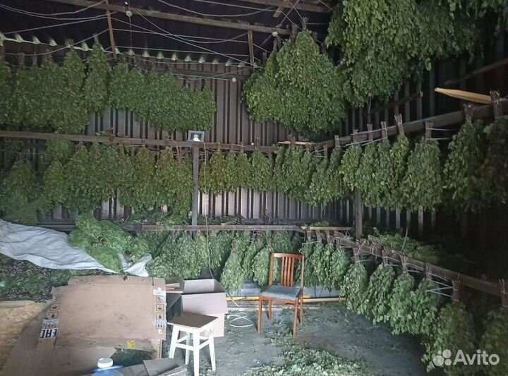 Веник для бани и травы Полынь донник со склада