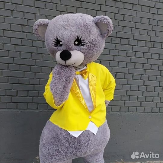 Мишка Тедди ростовая кукла поздравление Аниматоры