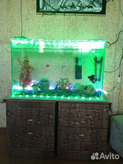 Аквариум