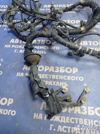 Проводка подкапотная Nissan Teana J32 седан VQ25DE