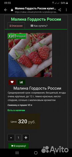 Малина крупнопдодная, бесшипая