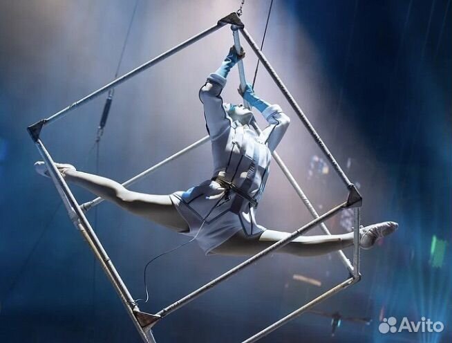 Настоящие Билеты в Цирк Вернадского