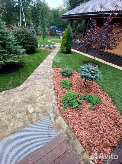 Продажа рулонного газона