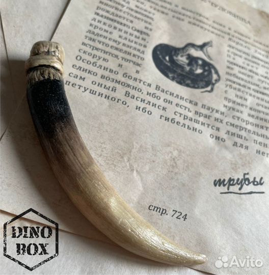 Клык Василиска