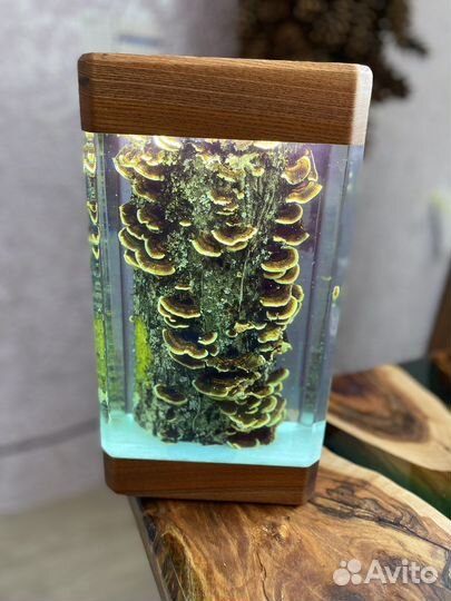 Светильник орешник с грибочками