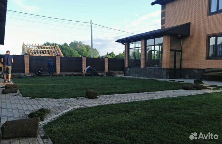 Газон с автополивом для дачи укладка