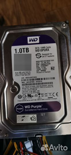 Жесткий диск 1 тб wd purple