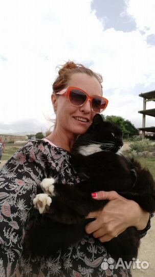 Зооняня у вас дома, передержка животных, выгул