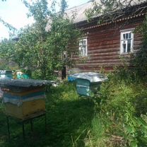 Пасека пчел.2 шт, Антропово