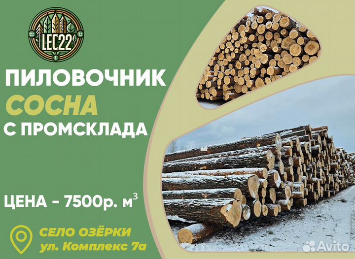 Хвоя пиловочник 6м