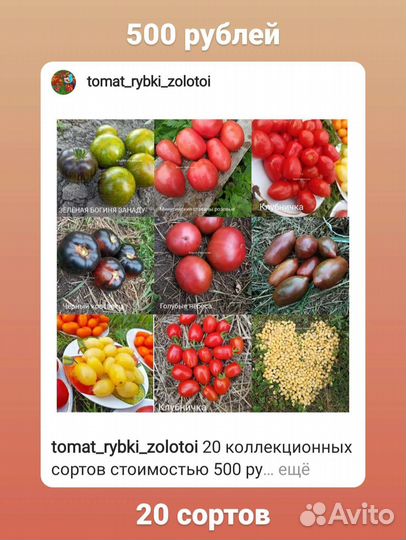 Семена томатов