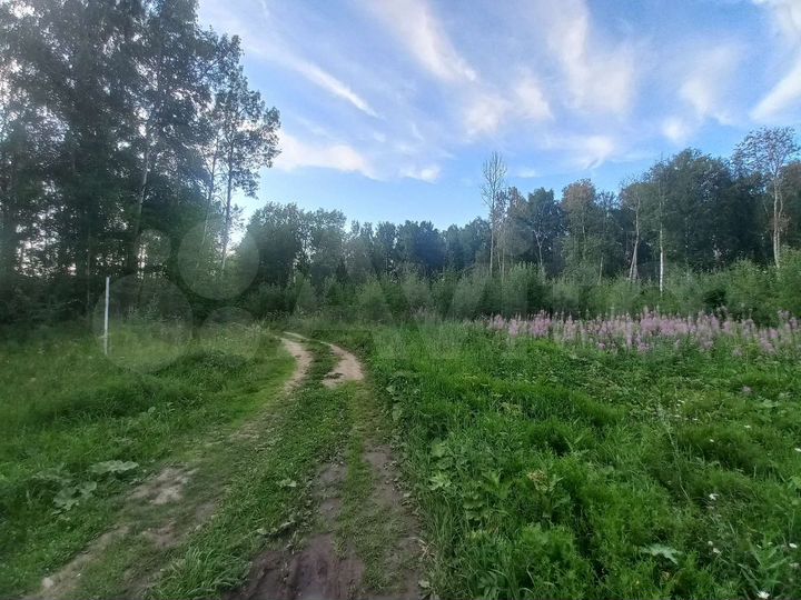 Участок 12,5 сот. (ИЖС)