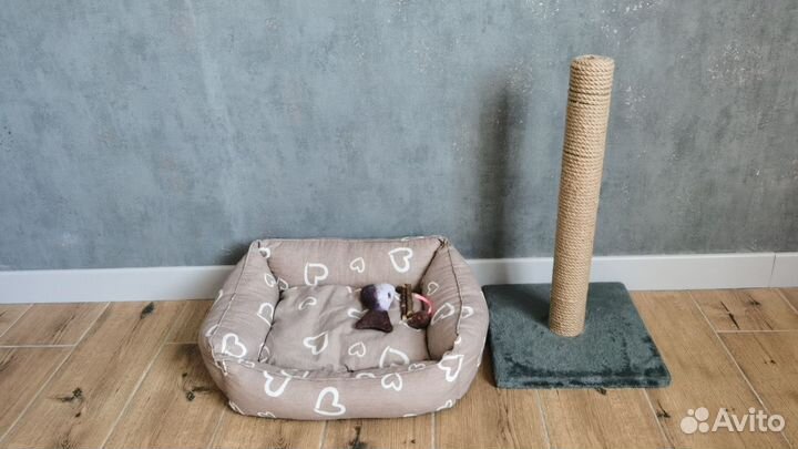 Товары для кошек