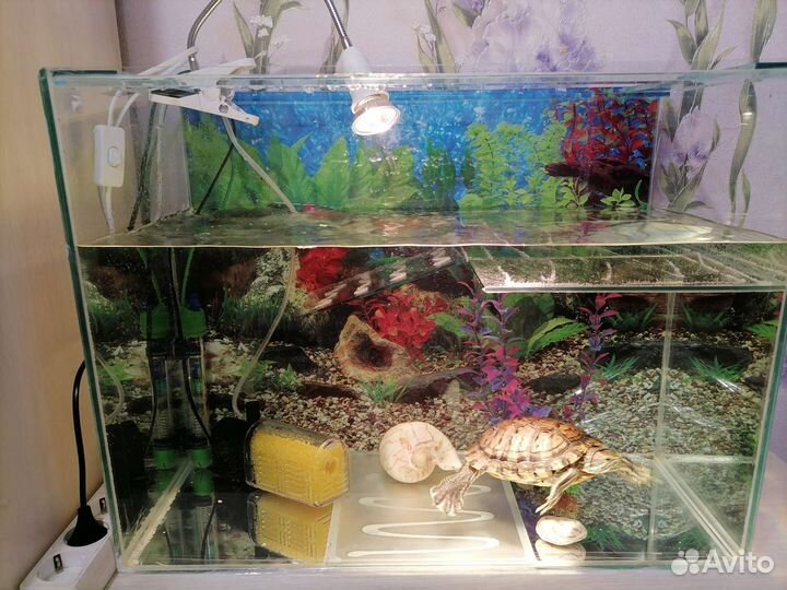 Аквариум