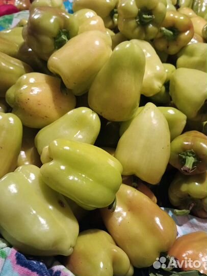 Капуста, перец, тыква, овощи