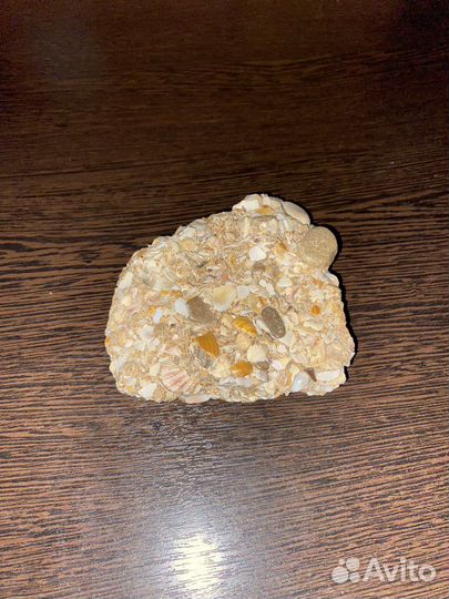 Камень морской песчанный