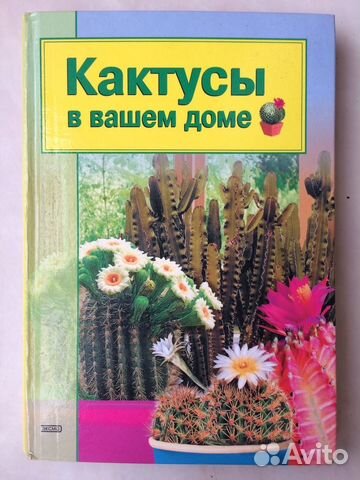 Книга о кактусах