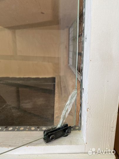 Витрина для шиншилл бу