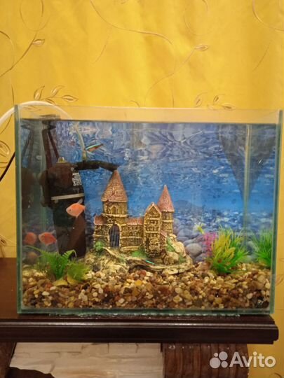 Аквариум 12 литров