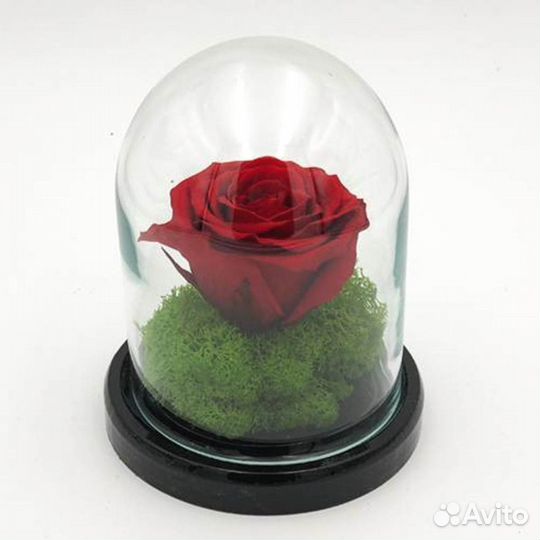 Роза в колбе