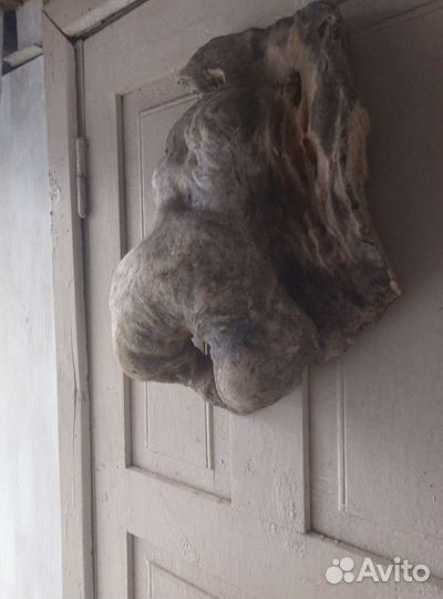 А. Дрифтвуд