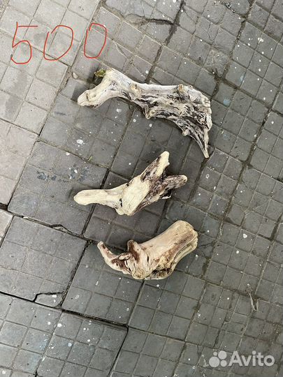 Коряги для аквариума и террариума