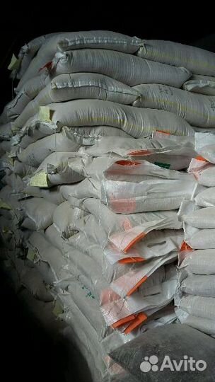 Суточные Цыплята Перепела Кролик Несушка Бройлера