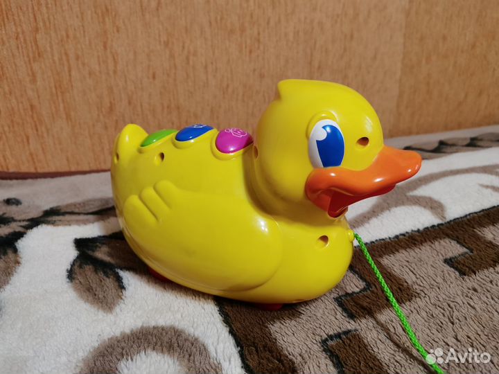 Утёнок музыкальный