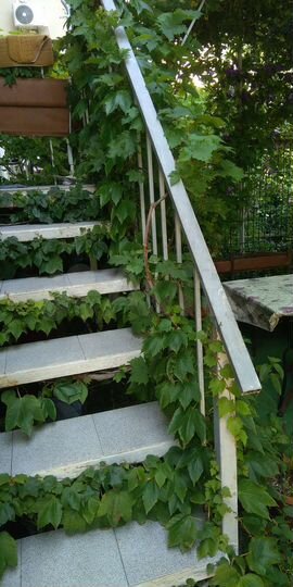 Квартира-студия, 28 м², 1/5 эт.