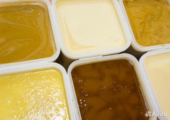 2024 Мед натуральный из Алтая опт