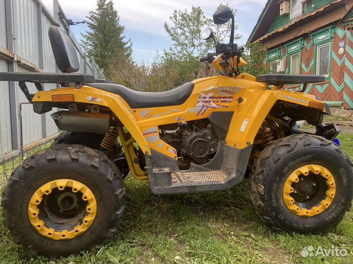 Avantis hunter 200 big basic