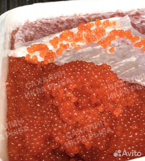 Красная икра горбуши