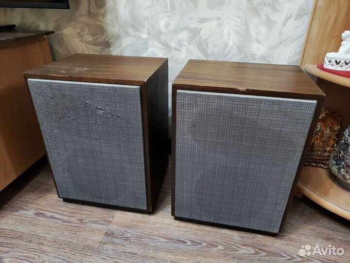 Активные колонки 25аса-II