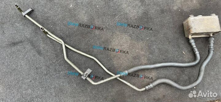 Шланг (трубка) АКПП BMW X5 E53 2002 7500754